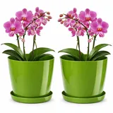 PECZEKO Blumentopf glänzender, Pflanzkübel aus Übertopf Kunststoff Dekorativer Topf für, groß und klein Pflanzen, 2er-Set blumenkübel mit Untersetzer, blumenkübel kräutertopf, Grün, ø 14 cm