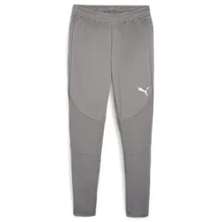Puma Teamfinal Training Pants cast iron-puma silver (13) S