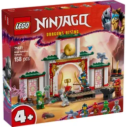 LEGO NINJAGO 71831 Spinjitzu Tempel der Ninja