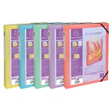 Exacompta 5x Archivbox A4 PP, Rücken 4 cm - Maße 25 x 33 cm - für DIN - fertig montiert
