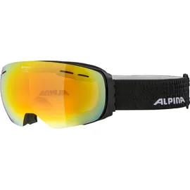 Alpina Granby Q-Lite Skibrille (Größe One Size, schwarz)