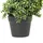 Beliani Kunstpflanze BUXUS SPIRAL TREE 98 cm Grün,
