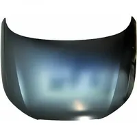 Diederichs Motorhaube 1080000
