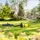 Kärcher Gartenpumpe BP 4.500 Garden