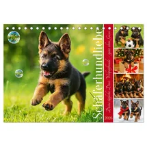 Calvendo Schäferhundliebe - Deine tägliche Dosis Welpenfreude – ganz ohne Gassi. (Tischkalender 2026 DIN A5 quer), CALVENDO Monatskalender: Ein Jahr voller ... durch die Jahreszeiten! (CALVENDO Tiere)