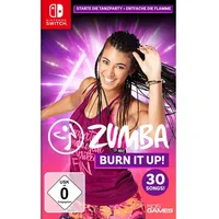 505 Games, Zumba Burn it Up