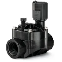 Rain Bird Magnetventil 25 mm IG/IG