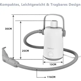 Costway Dampfreiniger Portable Handgerät 3 Bar, Handdampfreiniger mit 300ml Wassertank, 116cm Schlauch, 3m Kabel & 10 Zubehör Set, Grau
