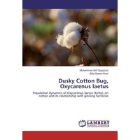 Dusky Baumwolle Bug, Oxycarenus laetus