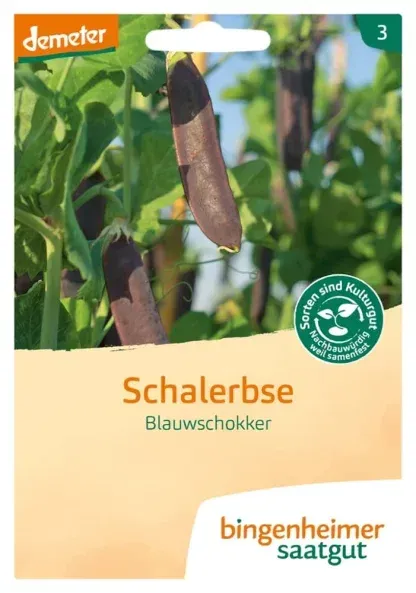 Bingenheimer Saatgut Schalerbse - Blaushokker demeter