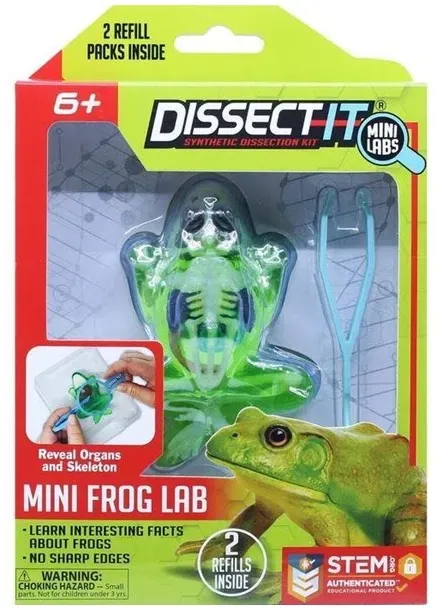 Frog In Giftbox