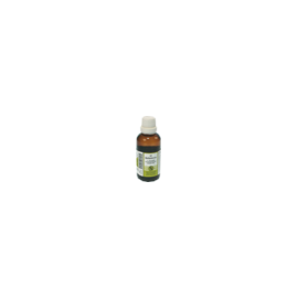 Nestmann Belladonna F Komplex Nr.21 Dilution