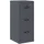 vidaXL Aktenschrank 44 x 50 x 106,5 cm Anthrazit