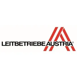 RIESS Cristal Simmertopf 16 cm