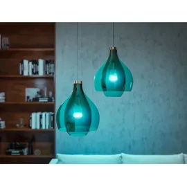 Philips Hue White and Color Ambiance 1100 E27 9W Starter-Kit (929002468811)