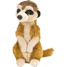 k&m international inc. Erdmännchen