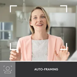 Logitech Brio 500 grau/weiß