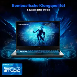 Medion Erazer Deputy P60 MD62705 i9-13900H 16GB/1TB SSD 15,6"FHD RTX 4070 W11H