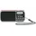 TechniSat TECHNIRADIO RDR rot