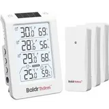 BaldrTherm Funk-Thermometer digital Weiß B0598T4H4