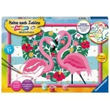 Ravensburger Malen nach Zahlen Liebenswerte Flamingos