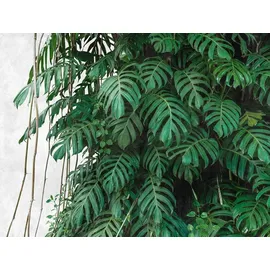 A.S. Creations A.S. Création Livingwalls The Wall 382411 Ein Motiv Pro Rolle 3.71 x 2.80 m Dschungel Grün