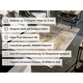 OCI DIE TEPPICHMARKE Teppich OCI DIE TEPPICHMARKE "BESTELLER CAVA", beige, mix, B:300cm H:8mm L:400cm, Viskose, Teppiche, Teppich, Glanz Viskose, mit Fransen, Hoch Tief Struktur, Vintage, Wohnzimmer