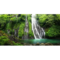 Fototapete PAPERMOON "LAGUNE IM URWALD MIT WASSERFALL", bunt, B:2,50m L:1,86m, Vlies, Tapeten