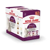 Royal Canin Sensory Mix-Pack in Soße 24 x 85 g