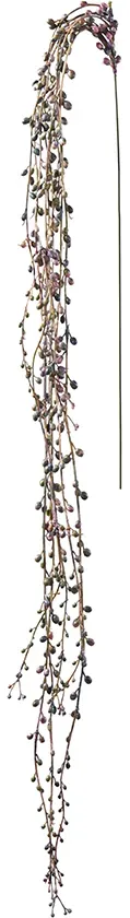 Senecio Hänger 142cm purple