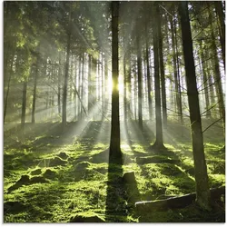 Artland Glasbild »Wald im Gegenlicht«, Wald, (1 St.), in verschiedenen Größen Artland Farbe Bild(er): grün