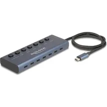 DeLock 63410 - USB 3.0 Hub 7 Port, USB-C zu 7x C