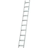 Krause Dachleiter 10 Sprossen (804310)