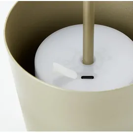 Brilliant Kaami Gold