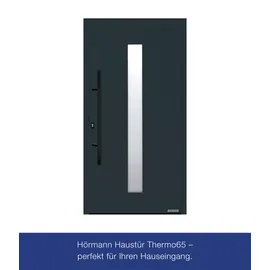 Hörmann THP 610S links 110 x 210 cm anthrazitgrau