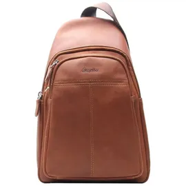 Esquire Dallas Umhängetasche Leder 20 cm braun