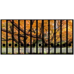 Wallario Etiketten Gelber Ahornbaum im Herbst in Japan, Ordnerrücken-Sticker in verschiedenen Ausführungen gelb 3.5 cm x 30 cm