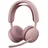 MS Rosa 981-001510