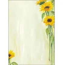 Sigel DP694 Kunstdruckpapier 25 Blatt