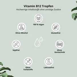 Nutri + nutri+ Vitamin B12 Tropfen 50 ml