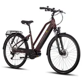 Trapez 28" RH 50 cm Damen bordeaux glänzend