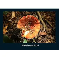 Vero Kalender Pilzkalender 2026 Fotokalender DIN A4 von Tobias