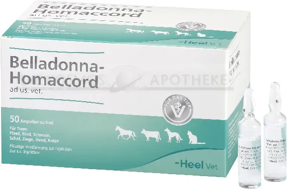 BELLADONNA HOMACCORD ad us.vet.Ampullen 50 St