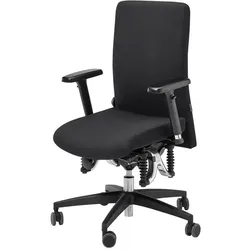 Haider Bioswing Bürodrehstuhl 360 IQ Sofort Lieferbar