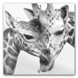 Wanduhr QUEENCE "Giraffen", grau, B:30cm T:30cm, Wanduhren, eckig, Acrylglas, Tiermotiv, Giraffen