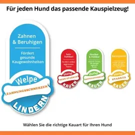 Nylabone Kauspielzeug für Hunde