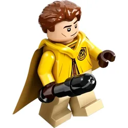 LEGO® - Harry Potter - hp429 - Cedric Diggory (76416)