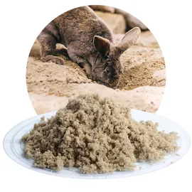 Schicker Mineral Kaninchen Buddelsand 0-1 mm - 25 kg, Sack