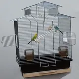 XXL Vogelkäfig Vogelbauer Wellensittich Finken Kanarien Käfig Top Qualität - braun