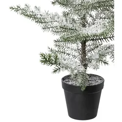 CREATIV green künstliche Pflanze Zimmertanne im Topf, beschneit, 64 cm, schnee